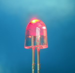 led-lamps-oval.jpg
